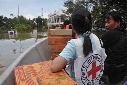 Red Cross Map 3