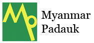 myanmarpadauk