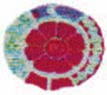 Buga logo