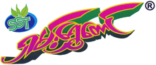 Shan Shwe Taung logo