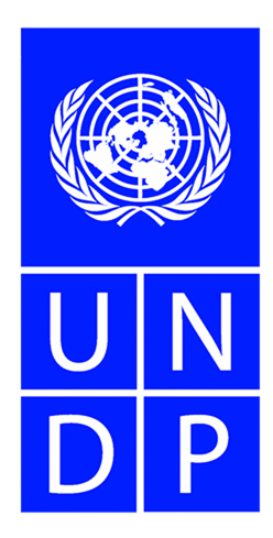 UNDP logo